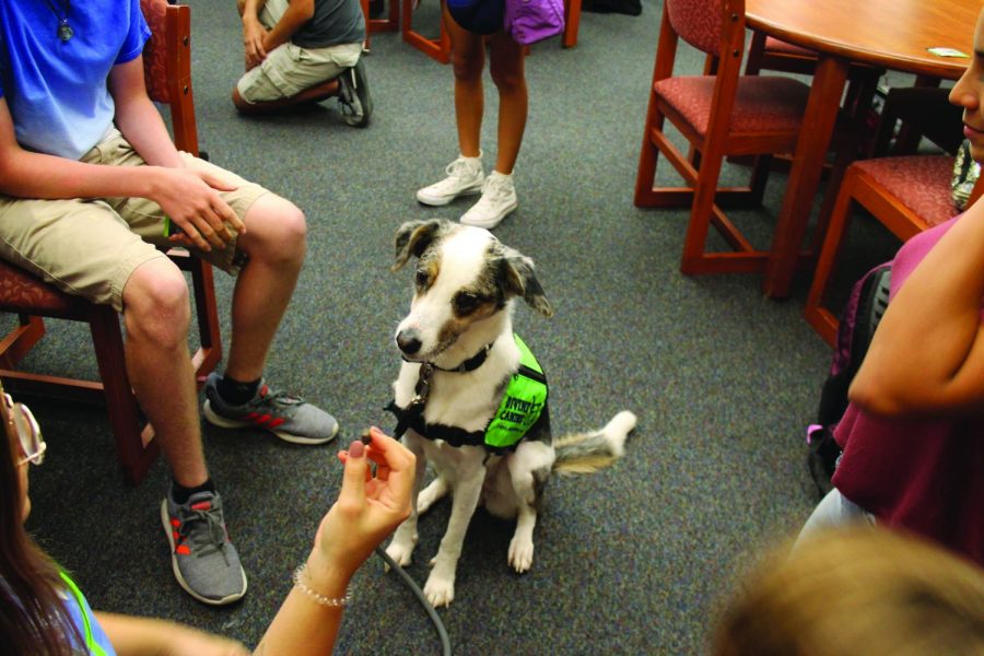 Therapy dog Harper and her handler Courtney Leonard demonstrate some of Harpers tricks to onlookers. Harper and Leonard visited LASA for the first time during Divine Canines Oct. 9 study break, providing students with a chance to destress. photo by Emma McBride