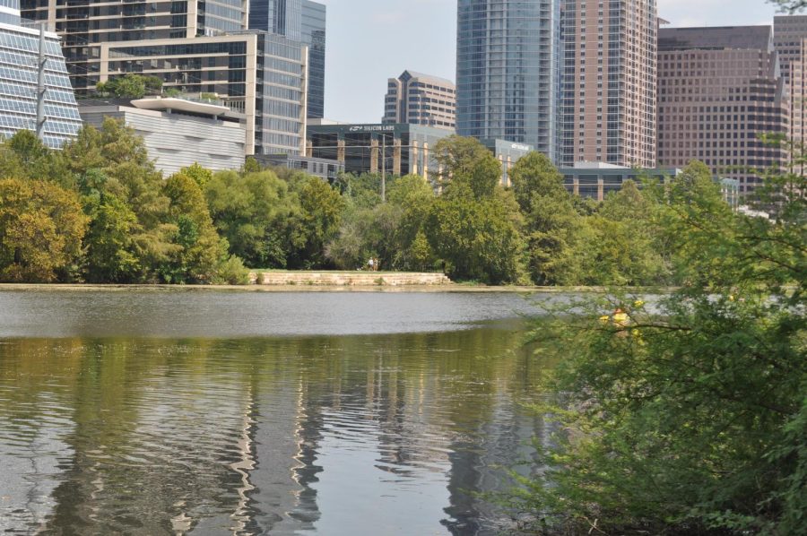 WALKING AROUND THE LAKE: Austinites have enjoyed walking around Lady Bird Lake for years, but recently there has been more algae in its water. Dogs are the most prone to illness and death from the cyanobacteria, and people are still not advised to swim. Photo by Zia Harvey