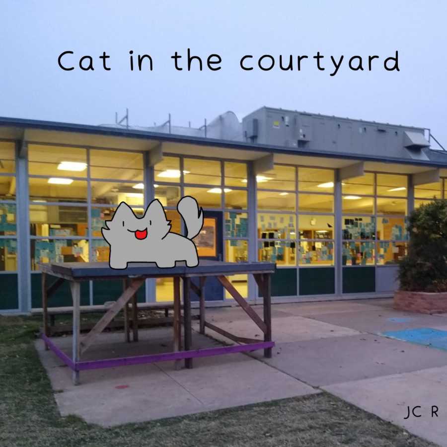 Cat around the school